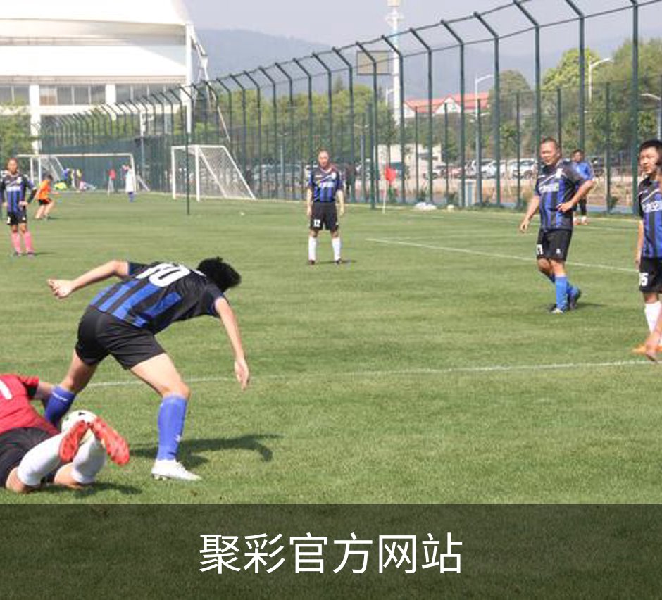了解聚彩官方网站